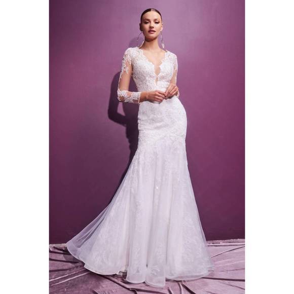 NEW CINDERELLA DIVINE long sleeve lace bridal gown in off white